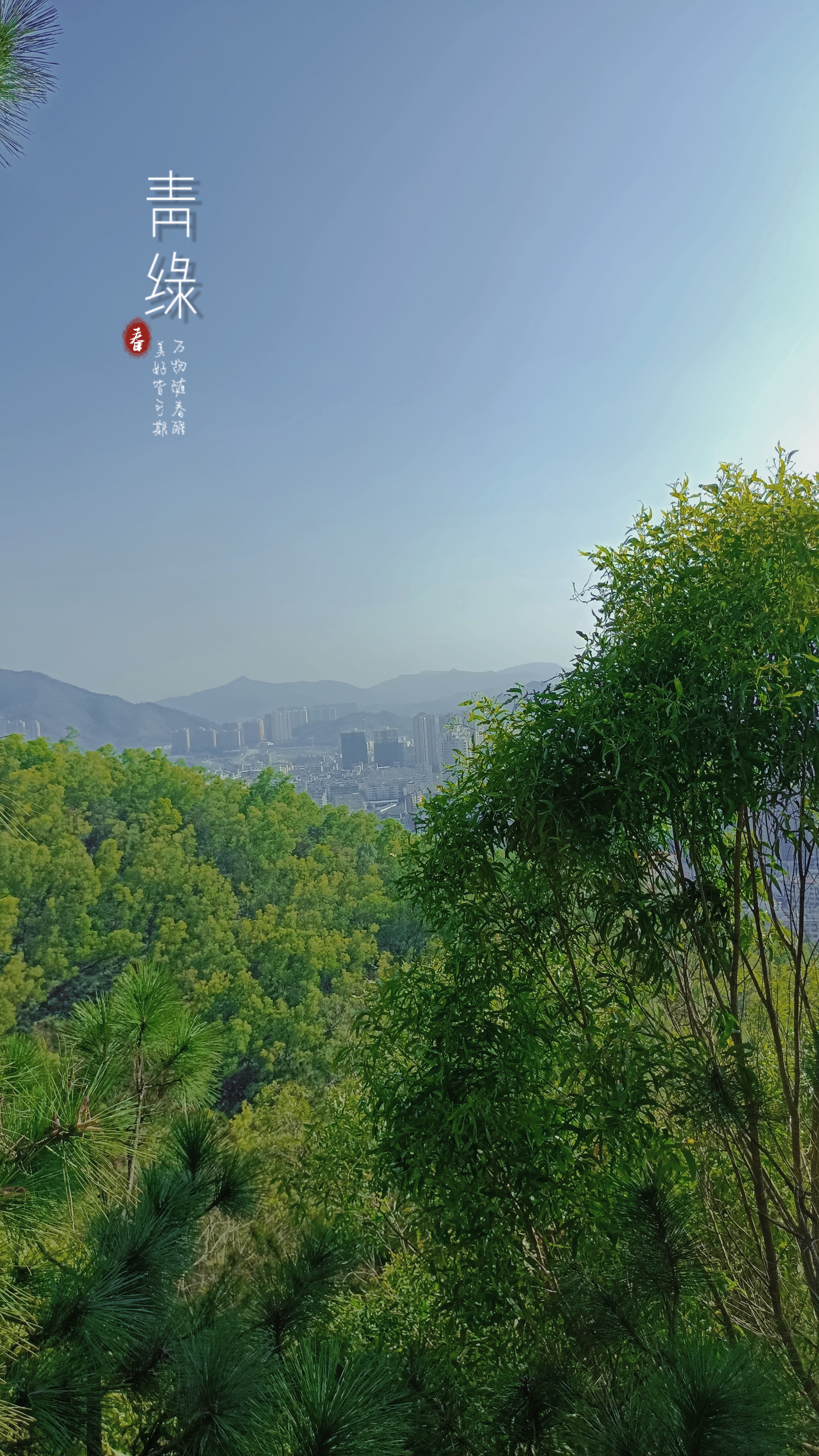 林福建拍摄于惠东飞鹅岭公园青绿